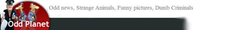 keep up with the latest weird news and dumb criminal stories on Odd Planet. The stories are fun and humorous and should make you laugh.